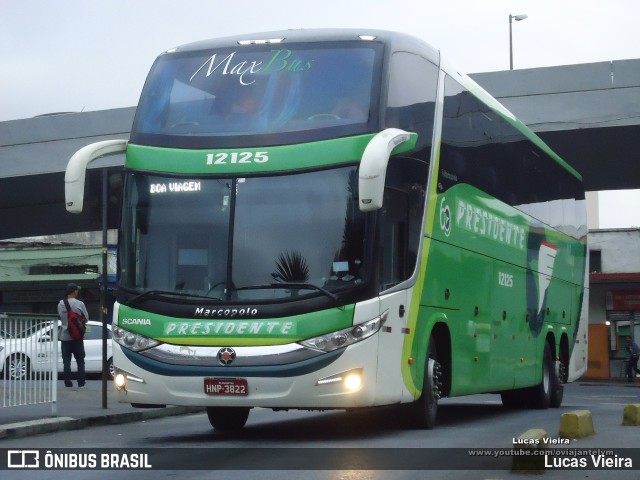 Pássaro Verde 12125 na cidade de Belo Horizonte, Minas Gerais, Brasil, por Lucas Vieira. ID da foto: 10479244.