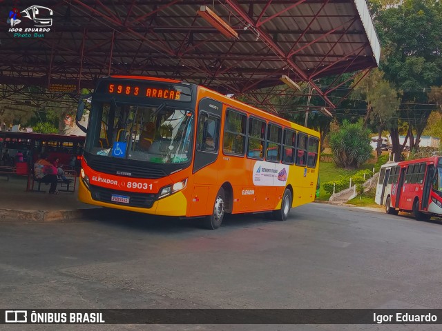 Empresa Alcino G. Cotta 89031 na cidade de Pedro Leopoldo, Minas Gerais, Brasil, por Igor Eduardo. Número da foto: #10484637.
