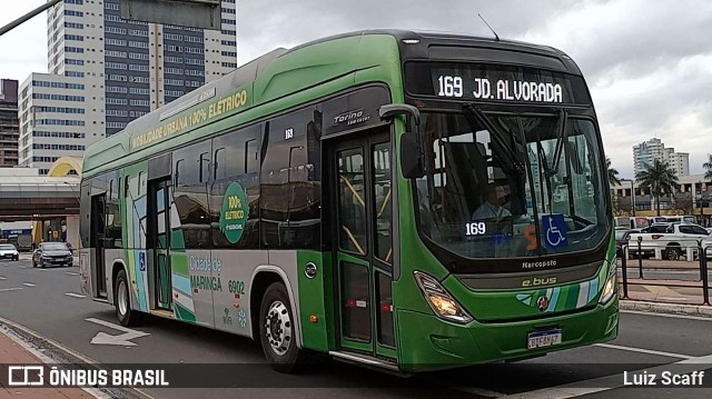 TCCC - Transporte Coletivo Cidade Canção 6902 na cidade de Maringá, Paraná, Brasil, por Luiz Scaff. Número da foto: #10484929.