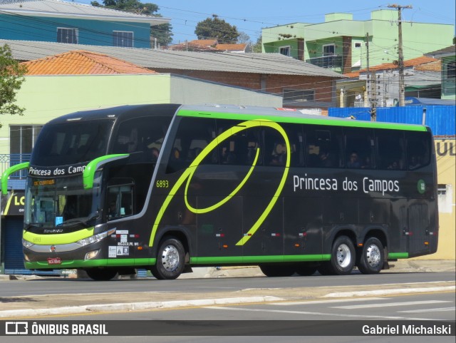 Expresso Princesa dos Campos 6893 na cidade de Ponta Grossa, Paraná, Brasil, por Gabriel Michalski. ID da foto: 10488606.