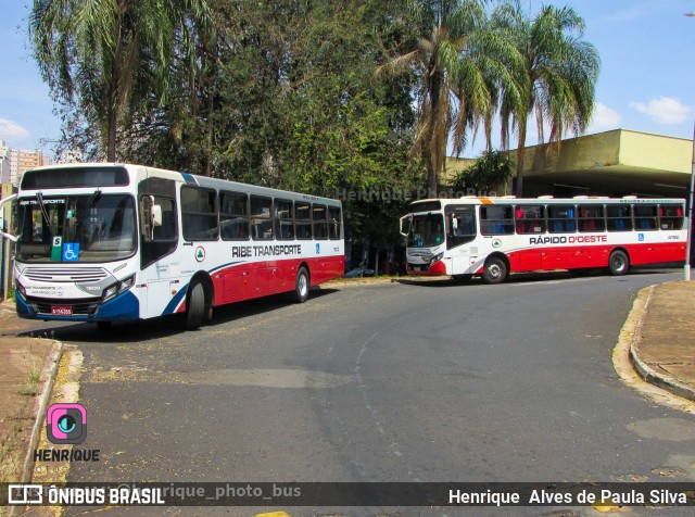 Ribe Transporte 1800 na cidade de Ribeirão Preto, São Paulo, Brasil, por Henrique Alves de Paula Silva. ID da foto: 10490808.