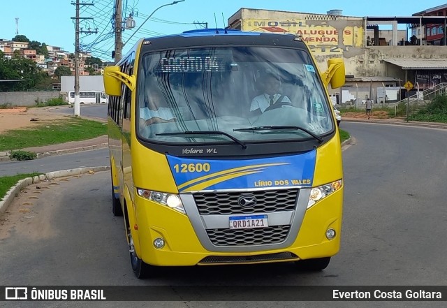 Viação Lírio dos Vales 12600 na cidade de Cariacica, Espírito Santo, Brasil, por Everton Costa Goltara. Número da foto: #10497036.