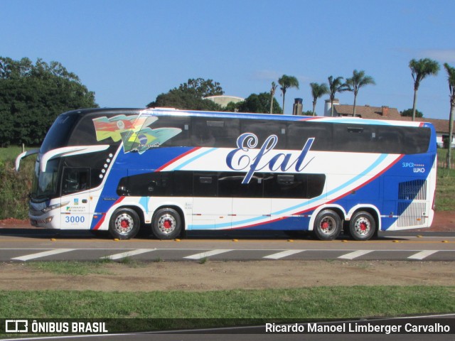 Efal - Expresso Faxinalense Ltda. 3000 na cidade de Rio Pardo, Rio Grande do Sul, Brasil, por Ricardo Manoel Limberger Carvalho. Número da foto: #10500273.