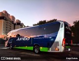 Jumbo Turismo 8161 na cidade de São Paulo, São Paulo, Brasil, por Diego Batista. Número da foto: #10498593.