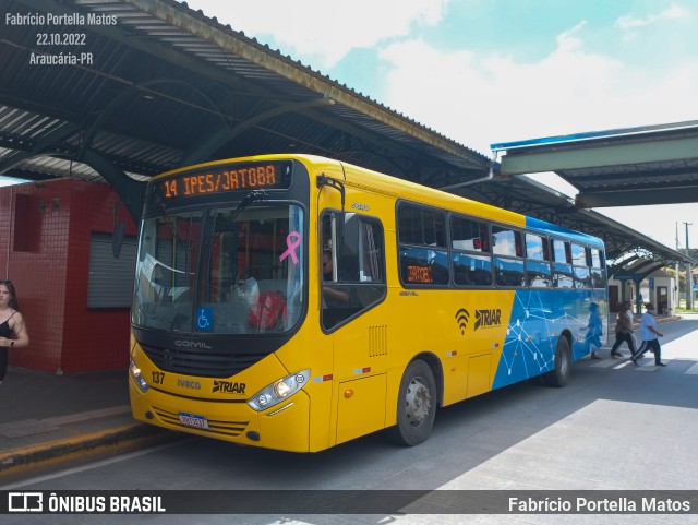 Sharp Transportes 137 na cidade de Araucária, Paraná, Brasil, por Fabrício Portella Matos. Número da foto: #10501706.