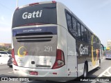 Gatti 291 na cidade de São Paulo, São Paulo, Brasil, por Rafael Lopes de Oliveira. Número da foto: #10501956.