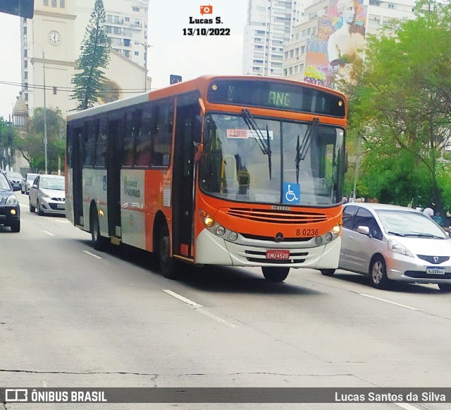 TRANSPPASS - Transporte de Passageiros 8 0236 na cidade de São Paulo, São Paulo, Brasil, por Lucas Santos da Silva. ID da foto: 10508647.