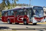 Expresso Gardenia 3200 na cidade de Piranguinho, Minas Gerais, Brasil, por Eliziar Maciel Soares. Número da foto: #10510441.