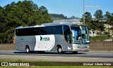 Rosa Turismo 10080 na cidade de Barueri, São Paulo, Brasil, por Michael  Alberto Vieira. Número da foto: #:id.