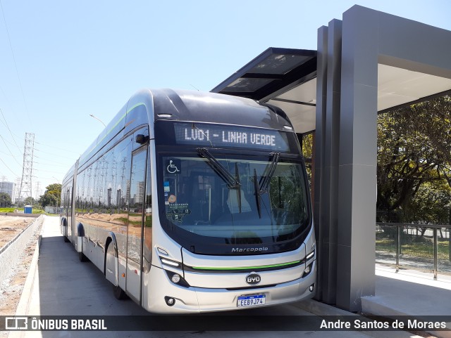 Prefeitura Municipal São José dos Campos 9974 na cidade de São José dos Campos, São Paulo, Brasil, por Andre Santos de Moraes. ID da foto: 10515843.