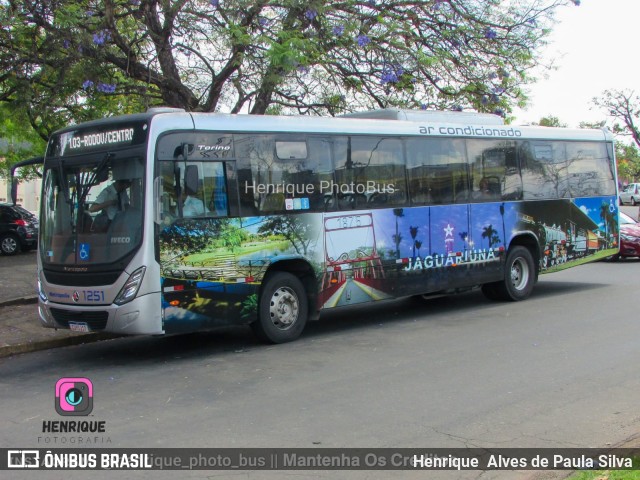 Expresso Metrópolis Transportes e Viagens 1251 na cidade de Jaguariúna, São Paulo, Brasil, por Henrique Alves de Paula Silva. ID da foto: 10516752.