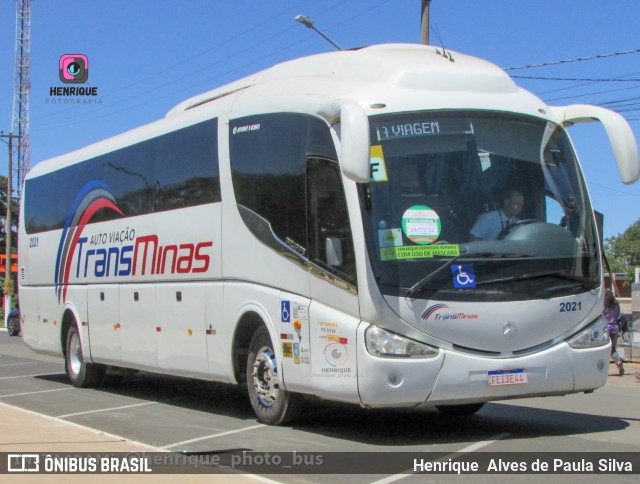 Auto Viação TransMinas 2021 na cidade de Holambra, São Paulo, Brasil, por Henrique Alves de Paula Silva. Número da foto: #10439895.