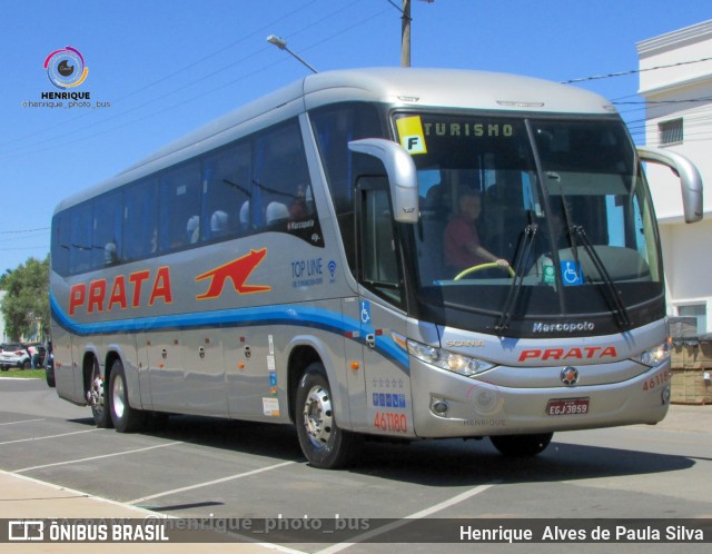 Expresso de Prata 461180 na cidade de Holambra, São Paulo, Brasil, por Henrique Alves de Paula Silva. Número da foto: #10439893.