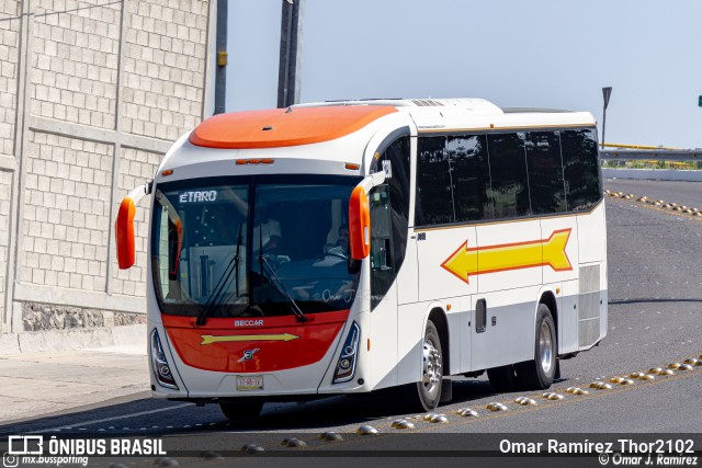 Flecha Amarilla 8230 na cidade de Querétaro, Querétaro, México, por Omar Ramírez Thor2102. Número da foto: #10441780.