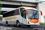 Flecha Amarilla 8228 na cidade de Querétaro, Querétaro, México, por Omar Ramírez Thor2102. Número da foto: #10441799.