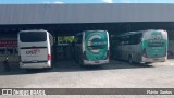 Auto Viação Camurujipe 4115 na cidade de Cruz das Almas, Bahia, Brasil, por Flávio  Santos. Número da foto: #10439802.
