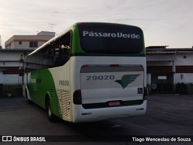 Pássaro Verde 29020 na cidade de Belo Horizonte, Minas Gerais, Brasil, por Tiago Wenceslau de Souza. Número da foto: #10526151.