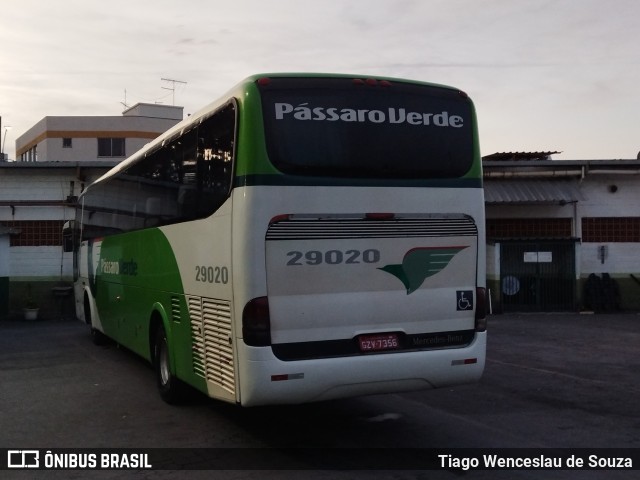 Pássaro Verde 29020 na cidade de Belo Horizonte, Minas Gerais, Brasil, por Tiago Wenceslau de Souza. ID da foto: 10526151.