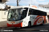 Viação Platina 1800 na cidade de Uberlândia, Minas Gerais, Brasil, por Rodrigo Barraza. Número da foto: #10526741.