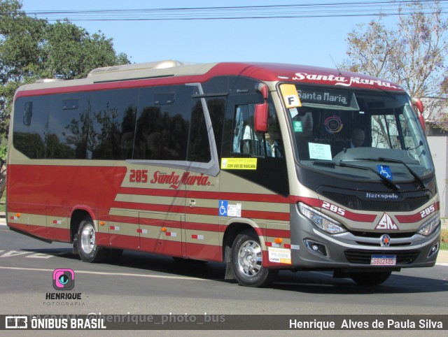 Santa Maria Fretamento e Turismo > Transportes Santa Maria(SP) 285 na cidade de Holambra, São Paulo, Brasil, por Henrique Alves de Paula Silva. Número da foto: #10531394.