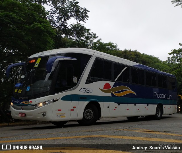 Piccolotur Transportes Turísticos 4630 na cidade de São Paulo, São Paulo, Brasil, por Andrey  Soares Vassão. Número da foto: #10445908.