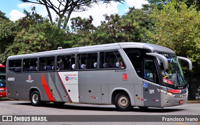 Empresa de Ônibus Pássaro Marron 45603 na cidade de São Paulo, São Paulo, Brasil, por Francisco Ivano. ID da foto: 10445800.