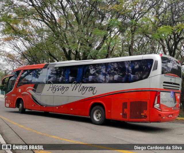 Empresa de Ônibus Pássaro Marron 5823 na cidade de São Paulo, São Paulo, Brasil, por Diego Cardoso da Silva. Número da foto: #10449481.