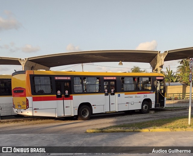 Empresa Metropolitana 266 na cidade de Recife, Pernambuco, Brasil, por Áudios Guilherme. Número da foto: #10449827.