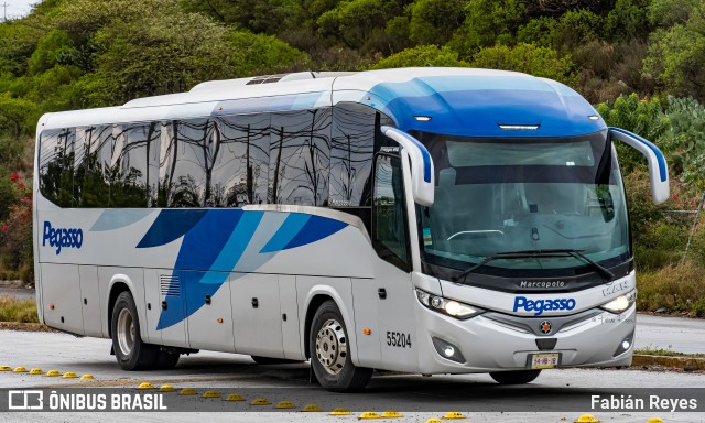 Pegasso 55204 na cidade de Querétaro, Querétaro, México, por Fabián Reyes. Número da foto: #10455443.