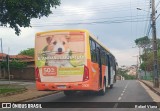 Viasul Transportes Coletivos 2000 na cidade de Itaúna, Minas Gerais, Brasil, por Rafael Viana. Número da foto: #10455768.