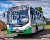 Pioneira Transportes 1075 na cidade de Cascavel, Paraná, Brasil, por Carlos Campos. Número da foto: #:id.