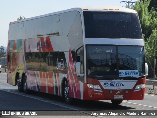 Pullman Setter  na cidade de Chimbarongo, Colchagua, Libertador General Bernardo O'Higgins, Chile, por Jeremias Alejandro Medina Ramirez. Número da foto: #10534755.
