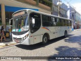 TCL - Transporte Coletivo Leo 45 na cidade de Cataguases, Minas Gerais, Brasil, por Welington Silva de Carvalho. ID da foto: :id.