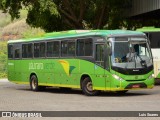 Pássaro Verde 15144 na cidade de Ponte Nova, Minas Gerais, Brasil, por Luis Soares. Número da foto: #:id.