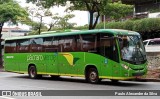 Pássaro Verde 19170 na cidade de Belo Horizonte, Minas Gerais, Brasil, por Paulo Alexandre da Silva. Número da foto: #:id.