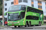 Pássaro Verde 12122 na cidade de Viçosa, Minas Gerais, Brasil, por Julio Cesar Euzebio Alves. Número da foto: #:id.