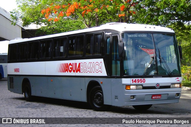 Viação Águia Branca 14950 na cidade de Vitória, Espírito Santo, Brasil, por Paulo Henrique Pereira Borges. Número da foto: #10579621.
