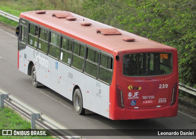 ANSAL - Auto Nossa Senhora de Aparecida 239 na cidade de Juiz de Fora, Minas Gerais, Brasil, por Leonardo Daniel. ID da foto: 10536416.