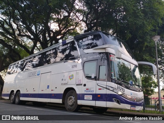 Princesa do Norte 51245 na cidade de Curitiba, Paraná, Brasil, por Andrey  Soares Vassão. Número da foto: #10587043.