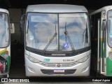 Empresa de Ônibus e Turismo Pedro Antônio RJ 804.007 na cidade de Vassouras, Rio de Janeiro, Brasil, por Gabryel Aguiar. Número da foto: #:id.