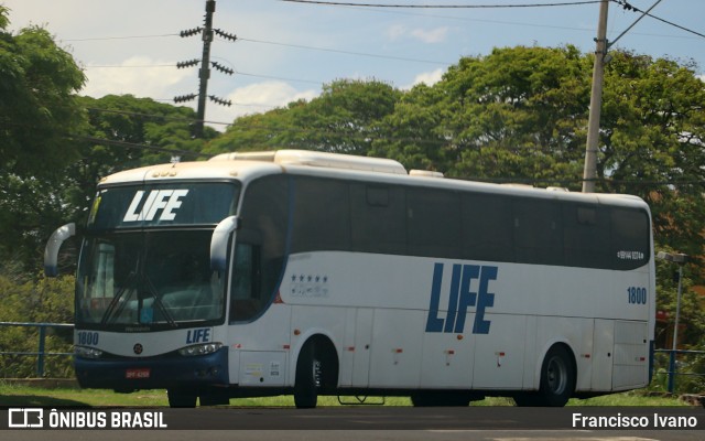 Life 1800 na cidade de Ourinhos, São Paulo, Brasil, por Francisco Ivano. Número da foto: #10592735.