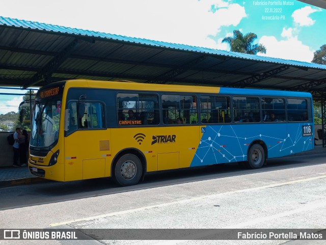 Sharp Transportes 116 na cidade de Araucária, Paraná, Brasil, por Fabrício Portella Matos. ID da foto: 10593927.
