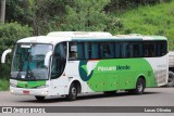 Pássaro Verde 29020 na cidade de Mariana, Minas Gerais, Brasil, por Lucas Oliveira. Número da foto: #10596747.