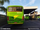 Pássaro Verde 19170 na cidade de Belo Horizonte, Minas Gerais, Brasil, por Tiago Wenceslau de Souza. Número da foto: #:id.