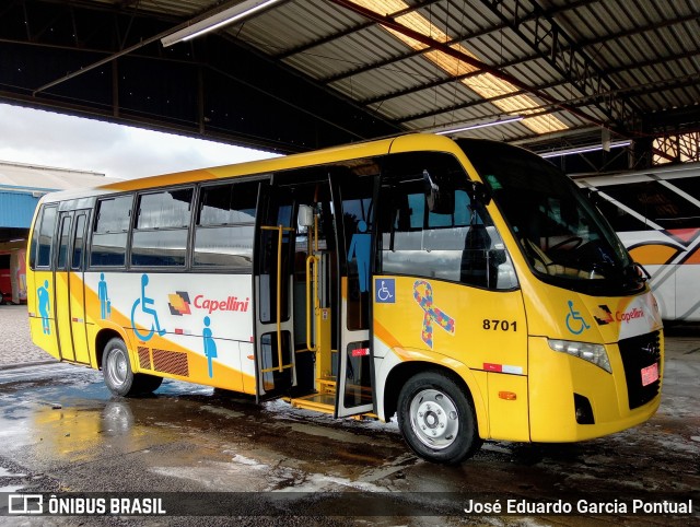 Transportes Capellini 8701 na cidade de Hortolândia, São Paulo, Brasil, por José Eduardo Garcia Pontual. Número da foto: #10599663.