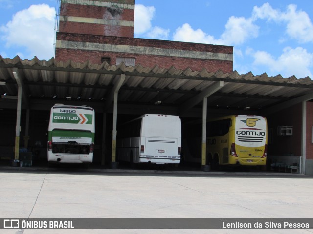 Empresa Gontijo de Transportes 14860 na cidade de Recife, Pernambuco, Brasil, por Lenilson da Silva Pessoa. ID da foto: 10603465.