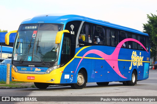 Rápido Expresso Fênix Viação 31025 na cidade de São Paulo, São Paulo, Brasil, por Paulo Henrique Pereira Borges. ID da foto: 10603357.