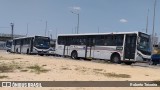 Del Rey Transportes 979 na cidade de Carapicuíba, São Paulo, Brasil, por Roberto Teixeira. Número da foto: #10604157.
