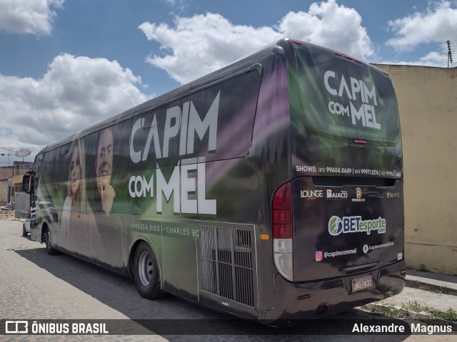 Banda Capim com Mel 7637 na cidade de Gravatá, Pernambuco, Brasil, por Alexandre  Magnus. ID da foto: 10605724.