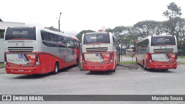Empresa de Ônibus Pássaro Marron 5825 na cidade de São José dos Campos, São Paulo, Brasil, por Marcelo Souza. Número da foto: #10606342.